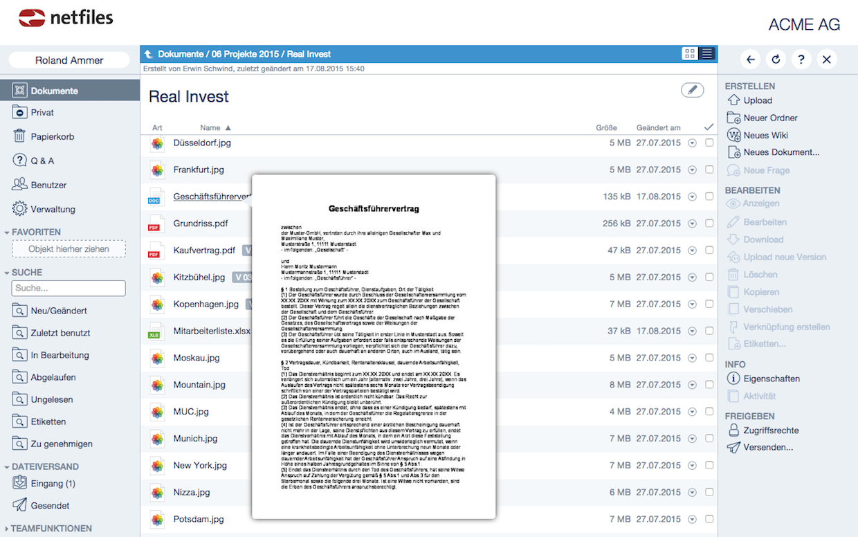 Screenshot Dokumenten Voransicht in netfiles